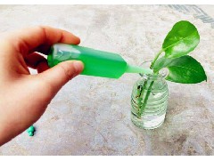 植物營養(yǎng)液對植物有什么好處？
